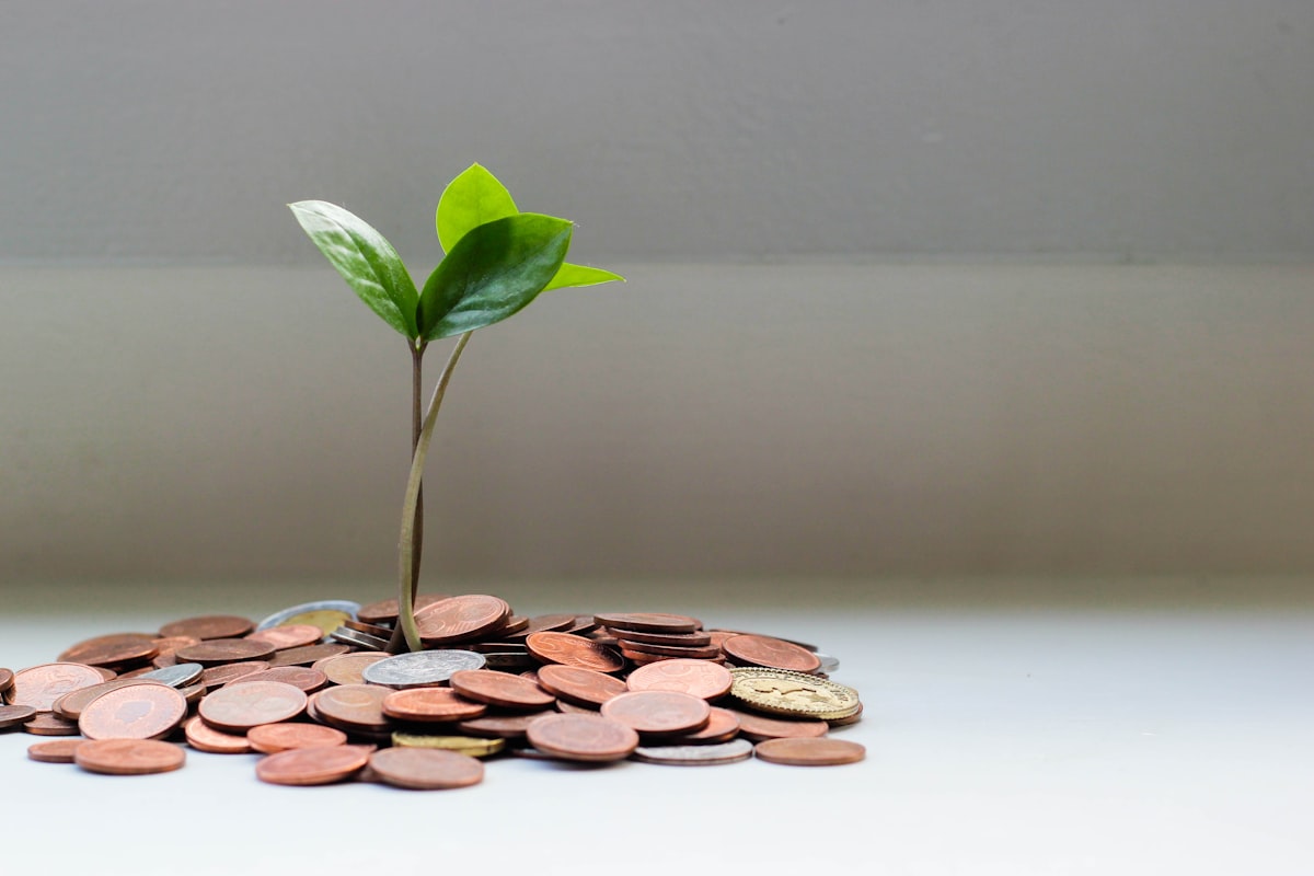 Keep 100% of Your Creator Earnings: How the Partut Model Works